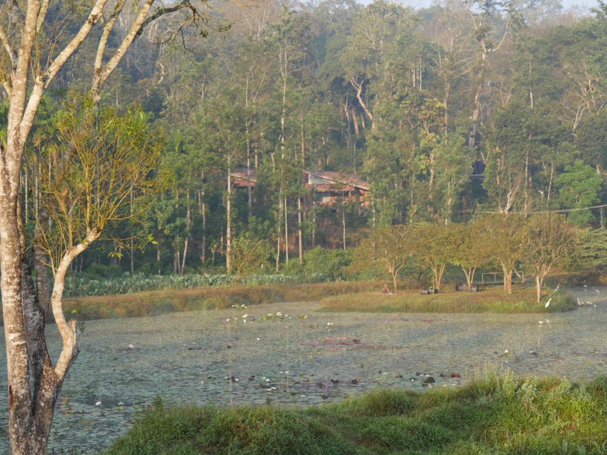 Estate Stay - Riverside Coffee Siddāpur Extérieur photo